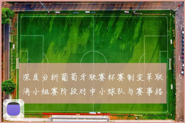 深度分析葡萄牙联赛杯赛制变革取消小组赛阶段对中小球队与赛事格局的影响